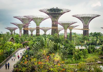 Cùng tìm hiểu cách đảo quốc Singapore bảo vệ môi trường